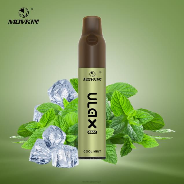 ulax de menta legal - RandM vape sale - RandM Movkin Ulax 6800 (bobina de cerâmica) dispositivo vape pod recarregável e descartável D042B69